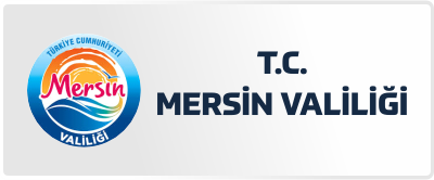 mersinv